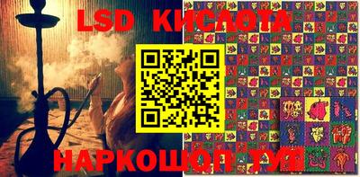 эйфоретик Шебекино