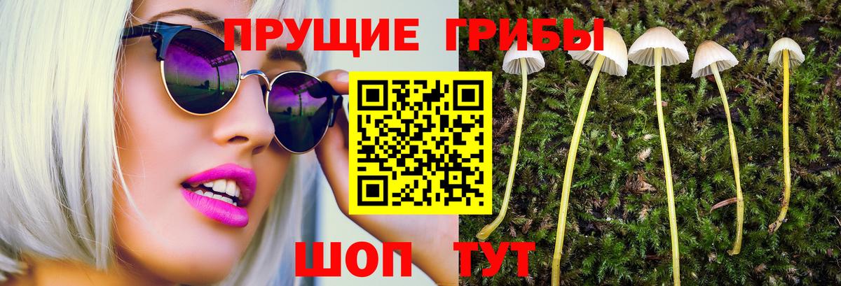 Псилоцибиновые грибы мухоморы Воронеж