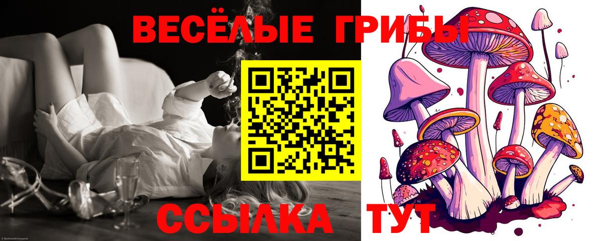 Псилоцибиновые грибы GOLDEN TEACHER  Вход с VPN  Воронеж 